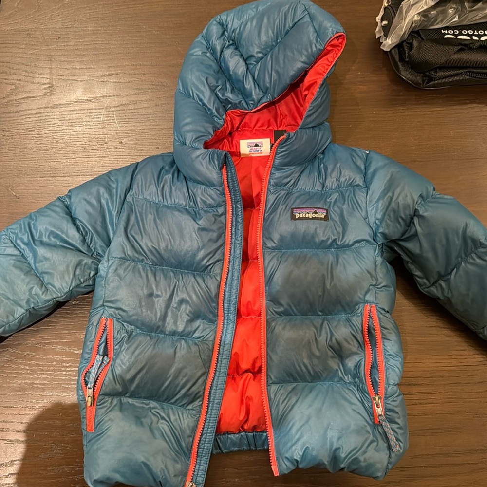 Patagonia winter coat